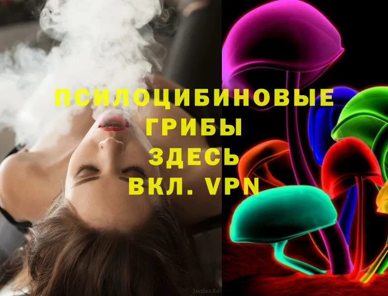 Галлюциногенные грибы Magic Shrooms  площадка формула  Красноуральск 